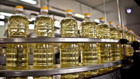 В России сохранится нулевая пошлина на экспорт подсолнечного масла